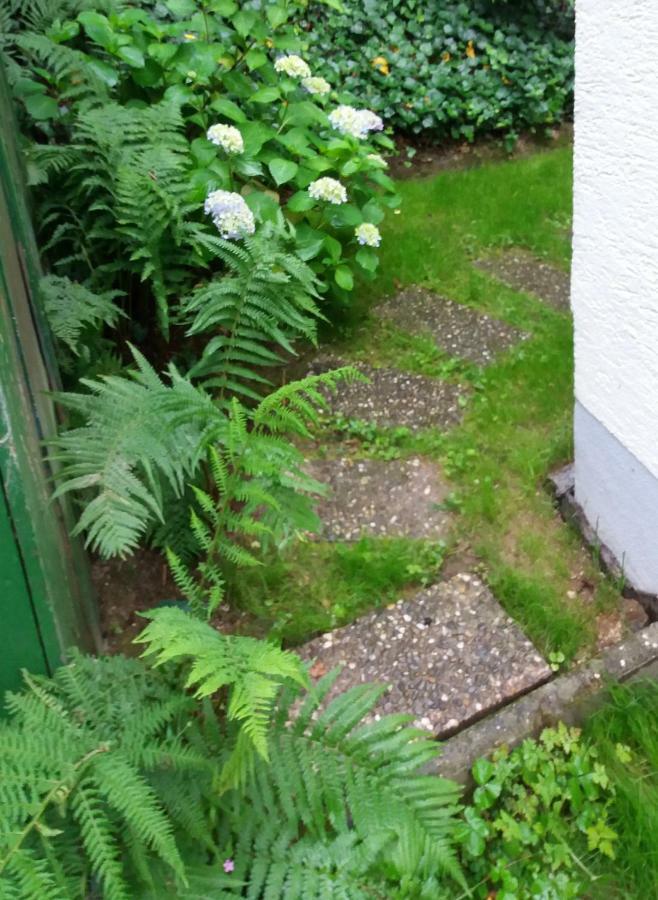 Ferienhaus Baederleiblick Bad Ems Eksteriør billede
